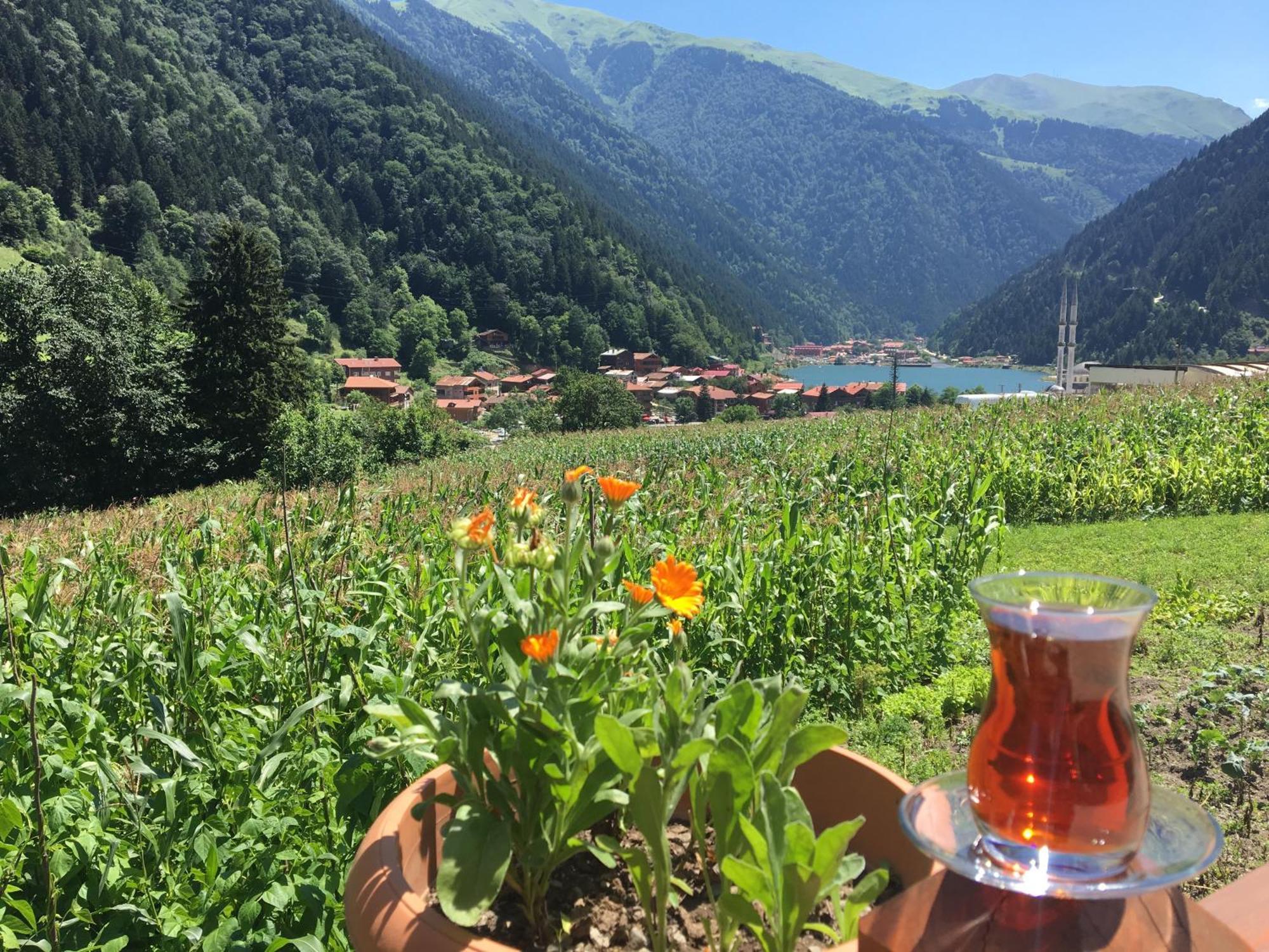 Zeren Pansiyon Kamalac Exterior foto